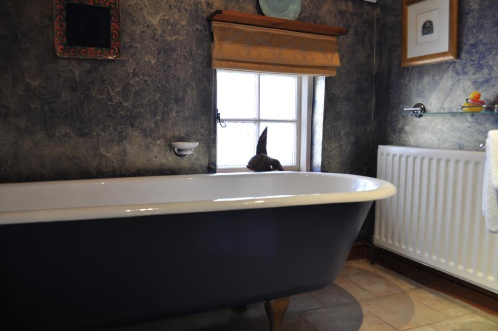 Old Ivy House Bed & Breakfast Nuneaton Pokoj fotografie